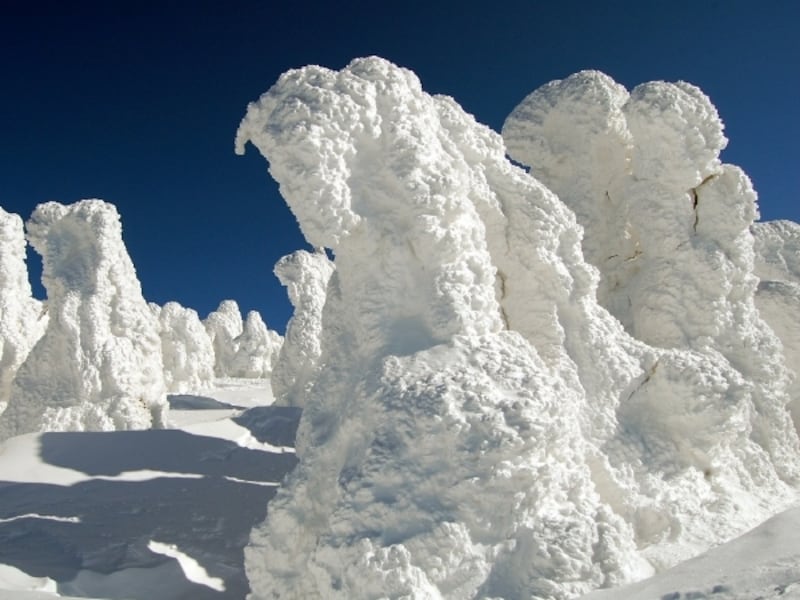 スノーモンスター