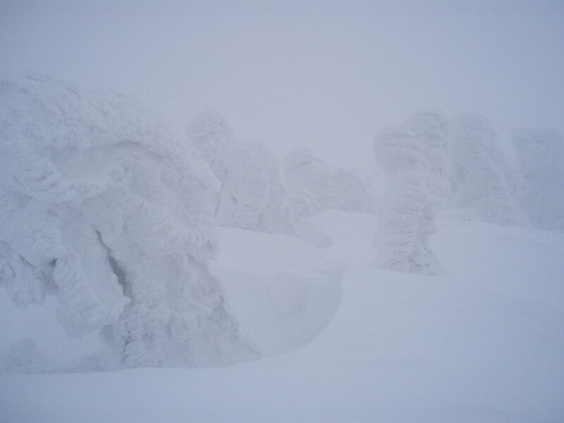 吹雪の中のスノーモンスター