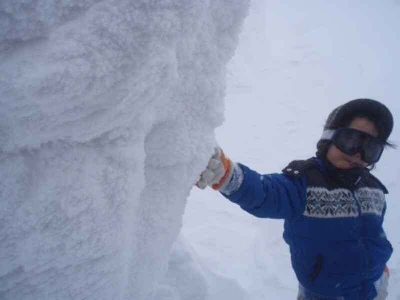 吹雪の中のスノーモンスター