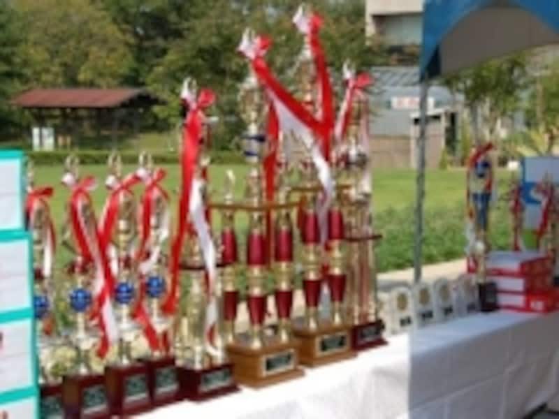 品評会で優勝した金魚の飼育者に贈られるトロフィー