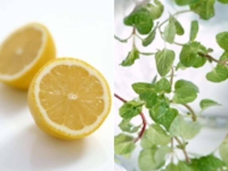 ハーブやレモンを料理に活用するシーンが増えそう