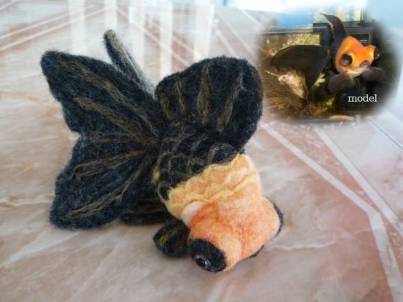 レッサーパンダ模様の蝶尾。お気に入りの金魚のオーダーメイドにも対応しているとのこと