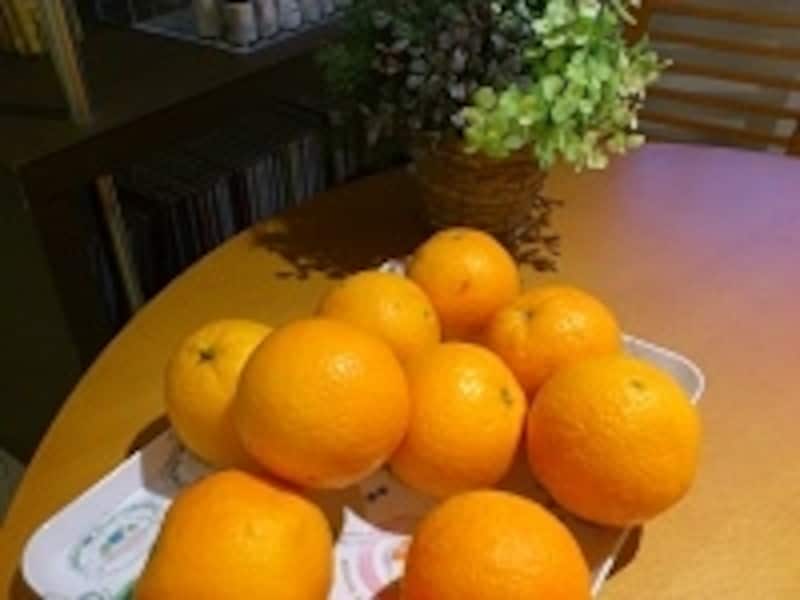 肌に合わない場合は他のものを試しましょう。