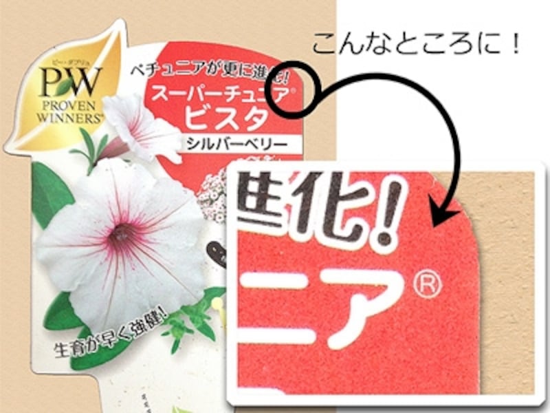 ラベルのマーク