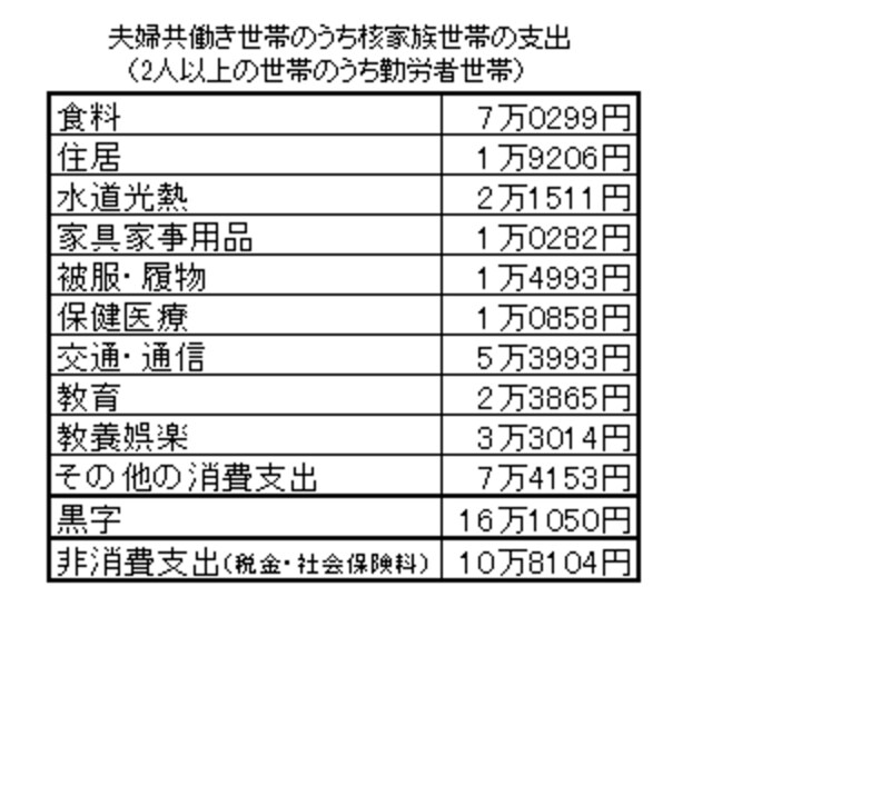 共働き支出