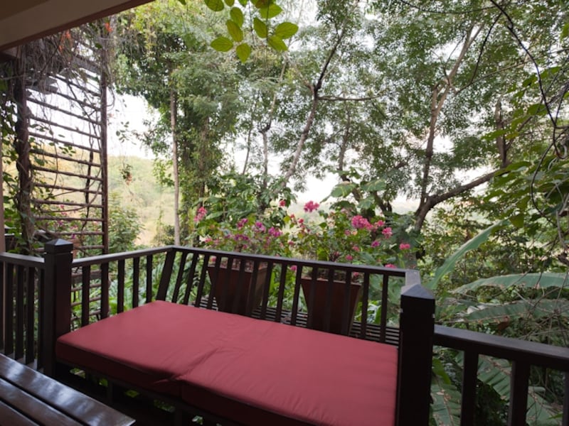 気候の良いチェンライには、多種多様な植物が生息している。 ガーデンを散歩するだけでも楽しい