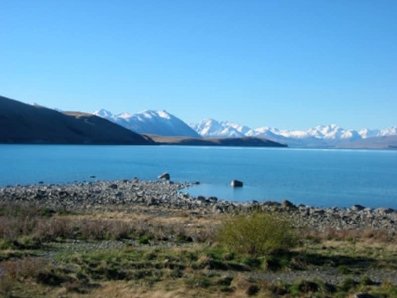 テカポ湖はパッケージツアーにもよく含まれる人気の観光地