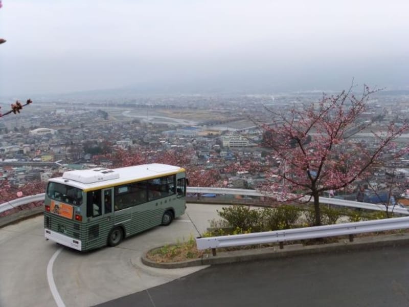 桜まつり会場と松田駅、臨時駐車場を結ぶシャトルバス
