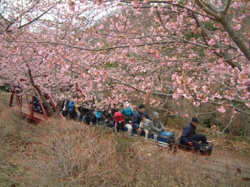 お山のポッポ鉄道・ふるさと鉄道（2）