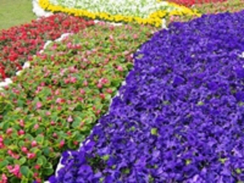 Vol 8 トライアングルマジックで庭に広がりを ガーデニング 園芸 All About