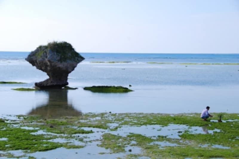 toguchi