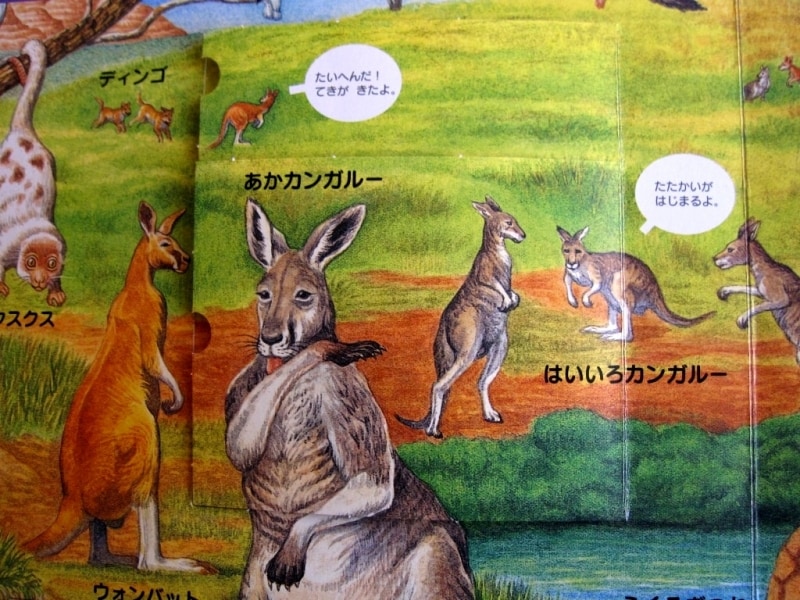 イラスト部分写真