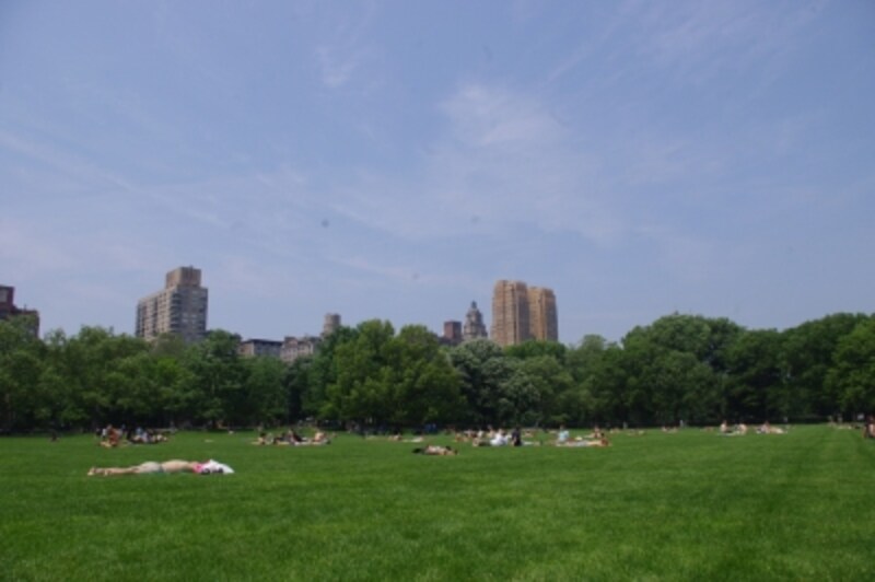 ニューヨーカーの憩いの公園 セントラルパーク ニューヨーク All About ニューヨーカーの憩いの公園 セントラルパーク ニューヨーク All About