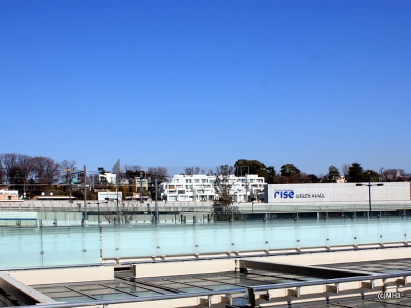 ヒルトップに位置する「瀬田ファースト」。二子玉川駅ペデストリアンデッキより撮影
