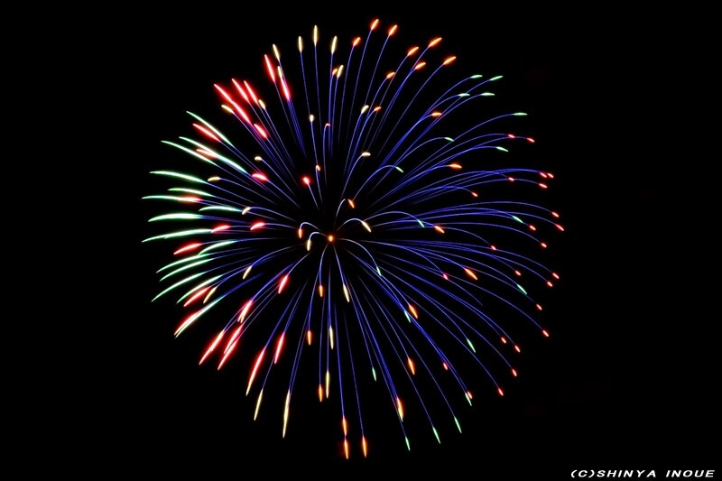 ﾏｼﾞｯｸ牡丹