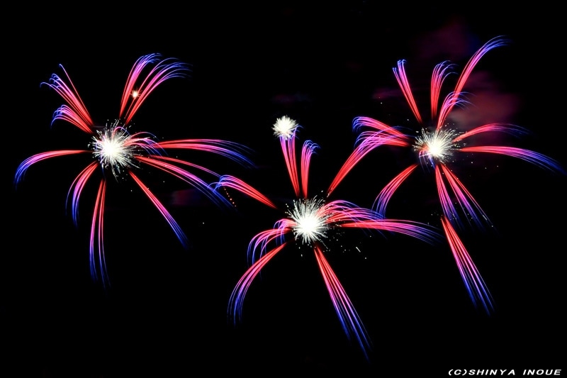 ｸﾞﾗﾃﾞｰｼｮﾝ花火