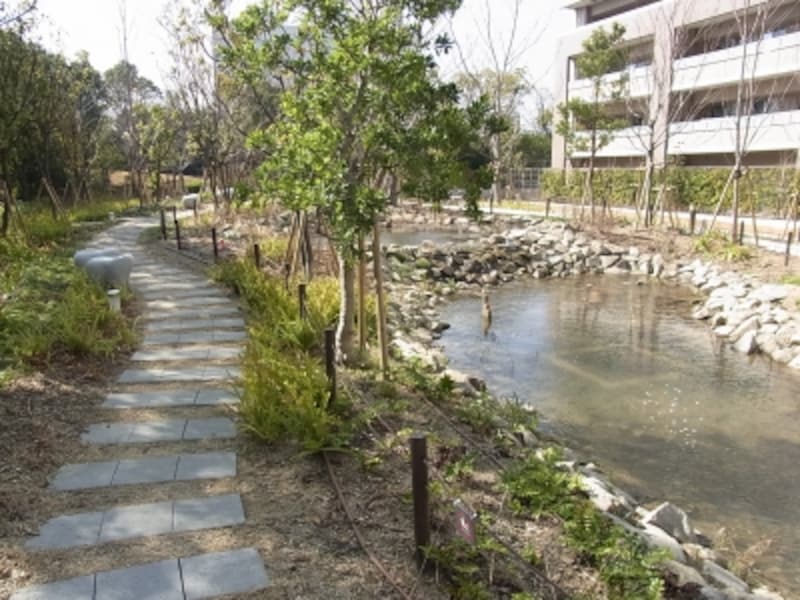 六甲アイランド