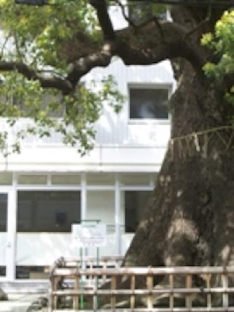 パークハウス楠郷臺