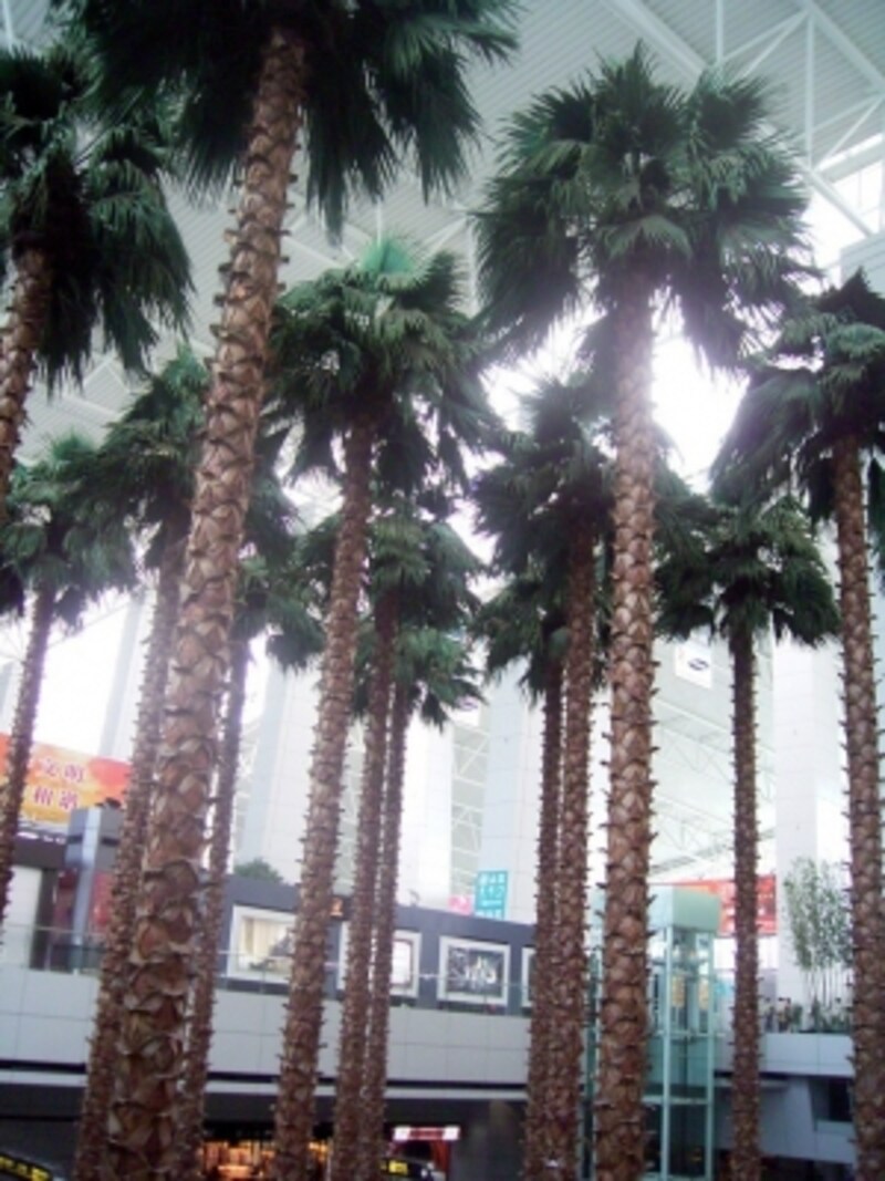 中国国内で最大級 広州白雲国際空港 広東 広州 All About