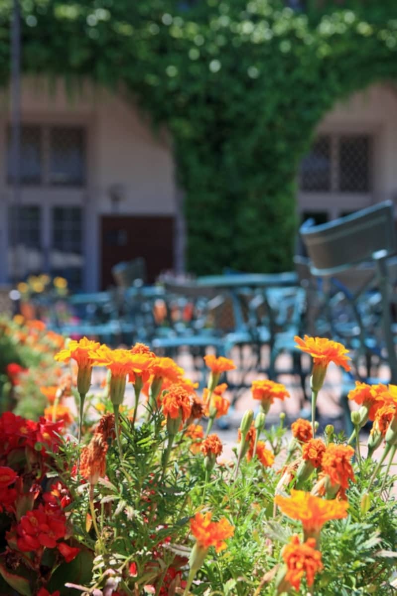 建物の中央にある広々とした中庭