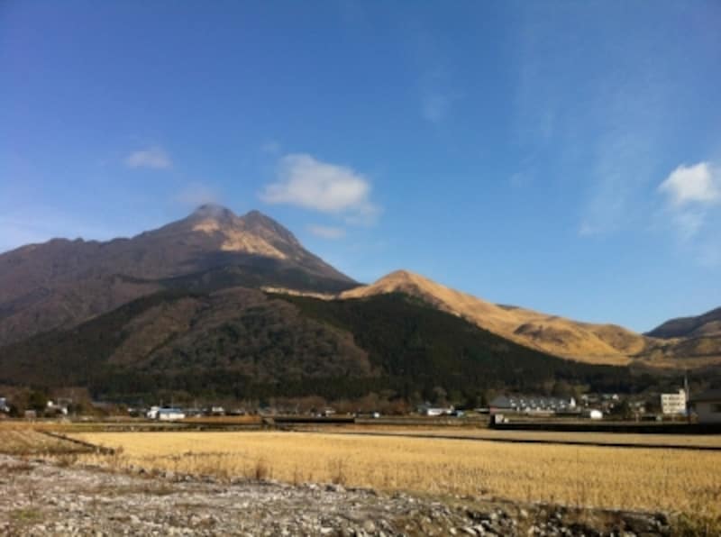 辻馬車 に乗って湯布院をゆったり観光 由布院の観光 旅行 All About