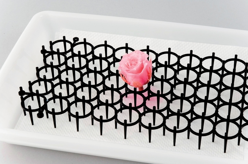 猫除けネットで乾燥