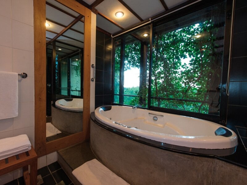 ジャグジー付きの大きなバスタブ。大きな窓から 大自然を眺めつつ至福のリラックスタイム