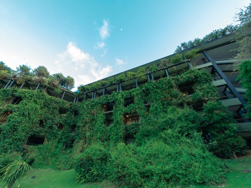 ホテル内部はメンテナンスをコンスタントにしているので綺麗ですが、外壁は既に森と化しています