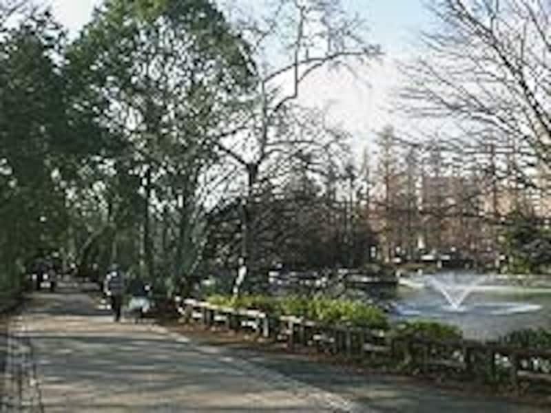 井の頭公園の写真