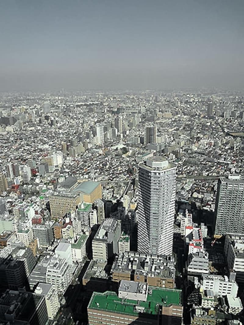 サンシャインクルーズクルーズ 景色