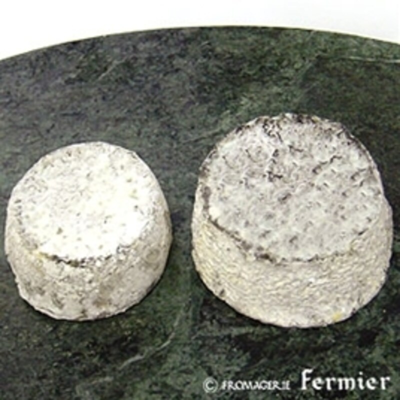 セル・シュール・シェール