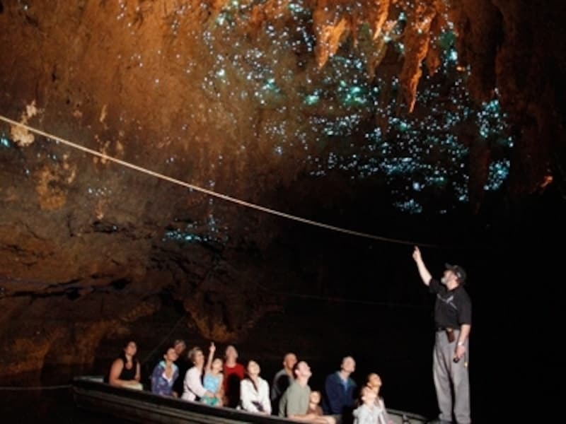 土ボタルを見るワイトモ・グローワーム洞窟ツアー