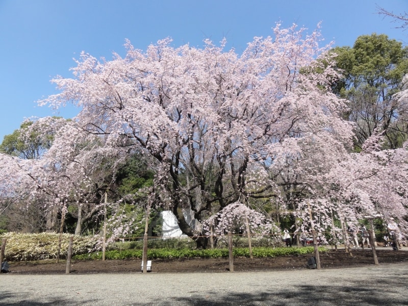 その大きさは圧巻。