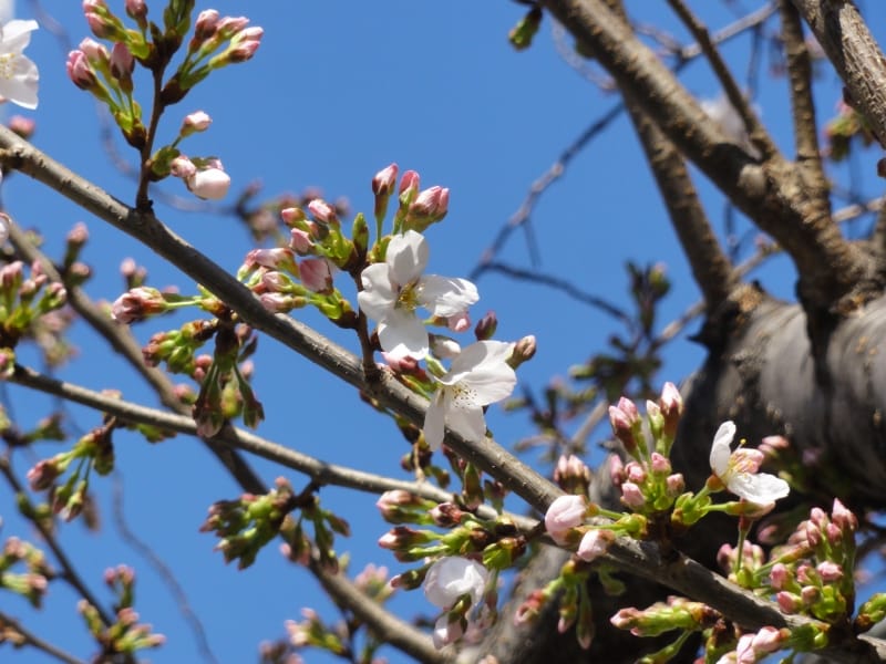 機会があれば、ここの写真は更新していきますね。