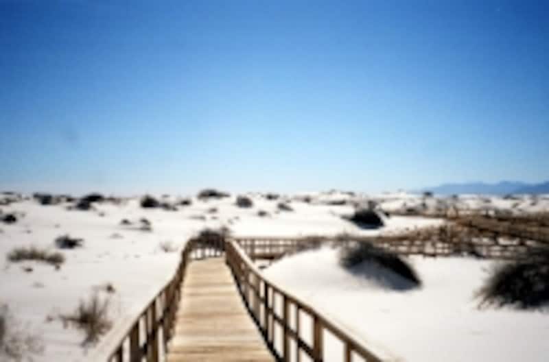 車いすで入れるルートもある