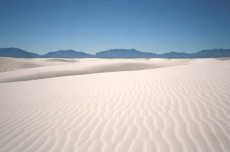 風が残した波打つ紋様が美しい