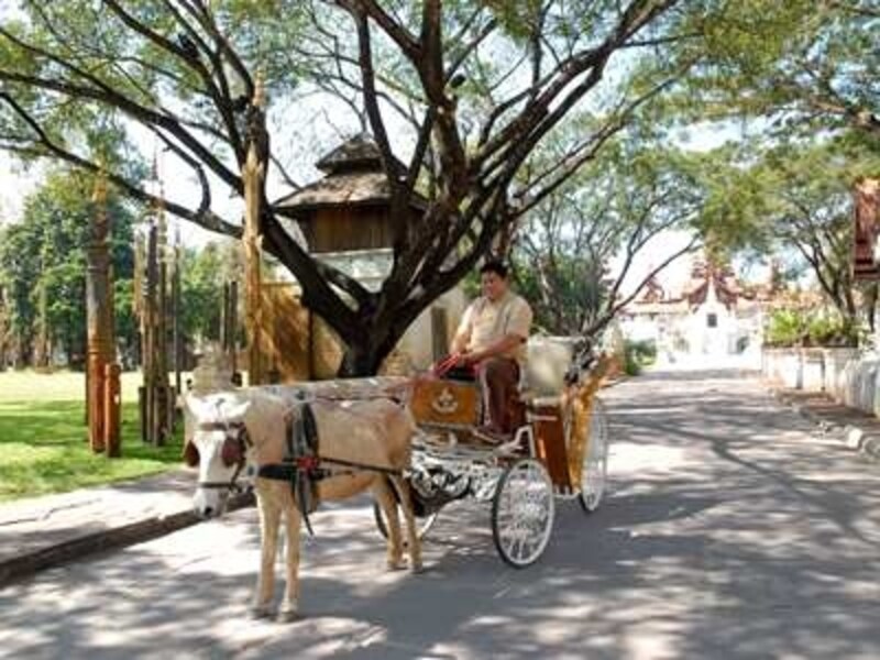 チェンマイ, オリエンタル, 馬車