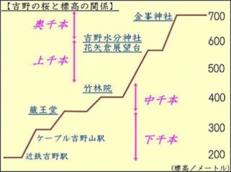 吉野の桜の名所と標高の関係