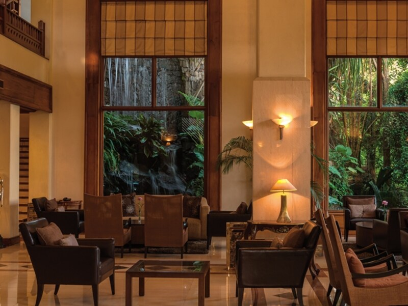 ロビーの外には勢い良く水が流れ落ちる滝の姿も