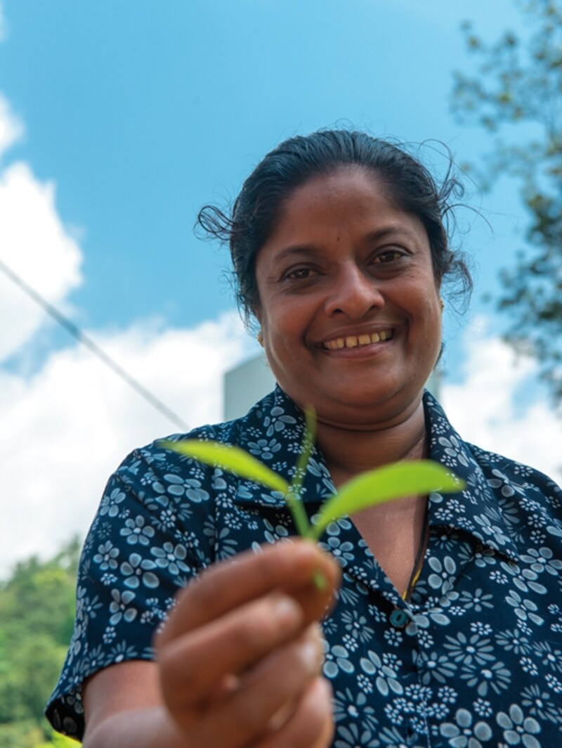 スリランカを訪れたらぜひ紅茶を買って 帰ろう！ 工場へ行く時間が無くても、街なかのスーパーマーケット、お土産やで手に入ります