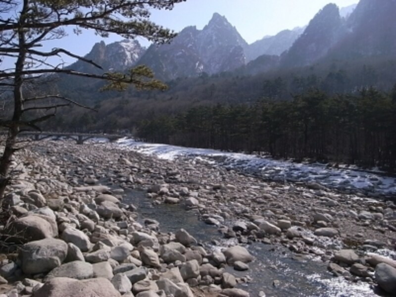 韓国が誇る世界自然遺産 雪岳山 の散策ツアー 韓国 All About