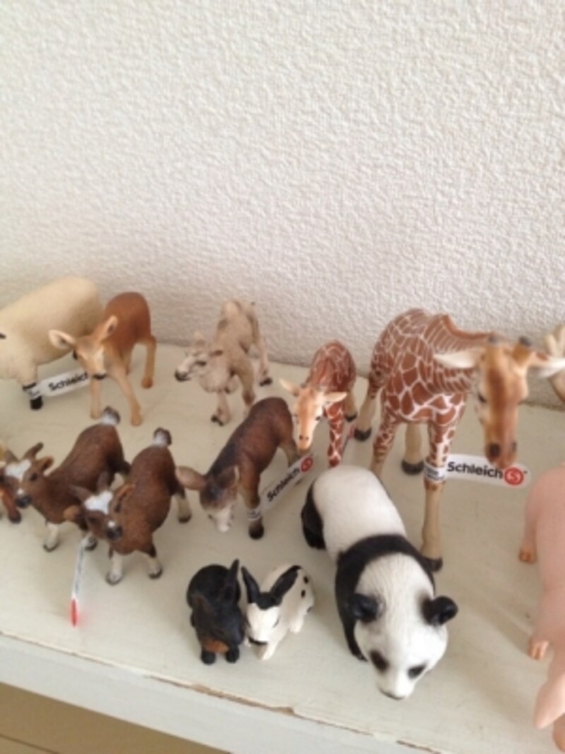 癒やしの動物たち 生活雑貨 All About 癒やしの動物たち 生活雑貨 All About