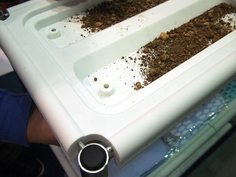 フラワーラック