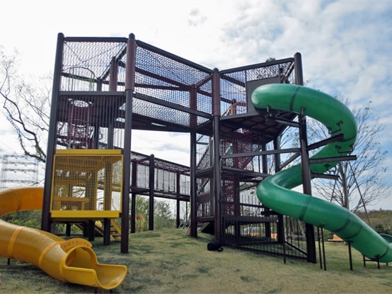 木の上で暮らすサルの動きを体感できる遊具