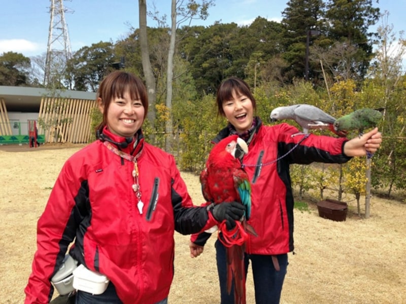 バードショーは約20～30分。スタッフが楽しく鳥たちの生態について解説してくれます