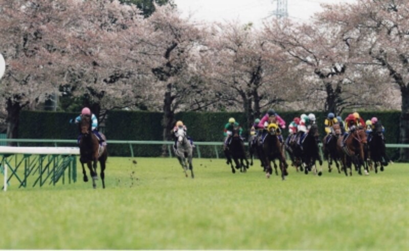 これぞ花形 皐月賞 日本ダービー 菊花賞の魅力 競馬 All About これぞ花形 皐月賞 日本ダービー 菊花賞の魅力 競馬 All About