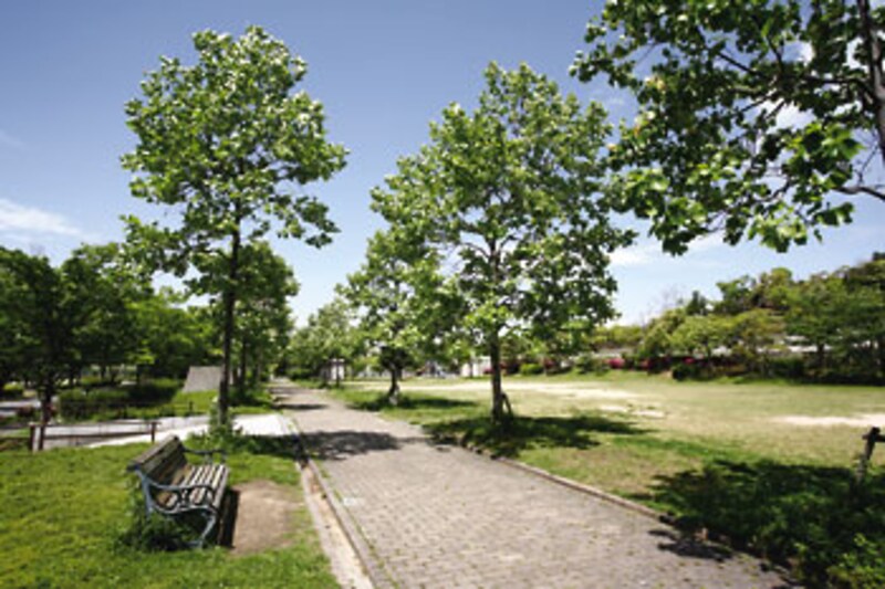 六甲アイランド公園