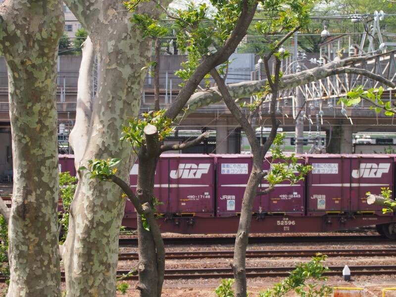 コンテナの向こうは山手線以外もいろんな車両が通り過ぎて行く。