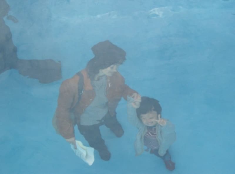 金沢21世紀美術館～作品名：スイミング・プール