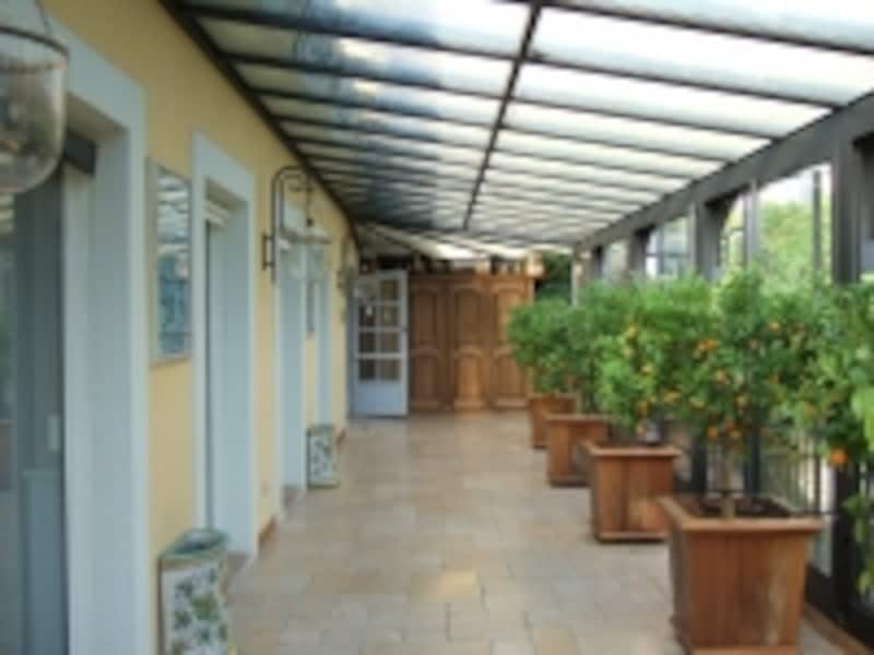 南フランスのホテルのオレンジの木